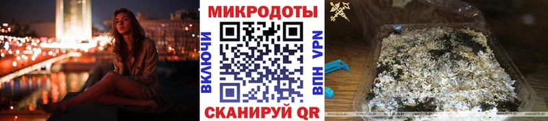 Псилоцибиновые грибы Psilocybine cubensis Сурск